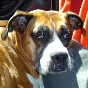 Meet your Posher, Kristen